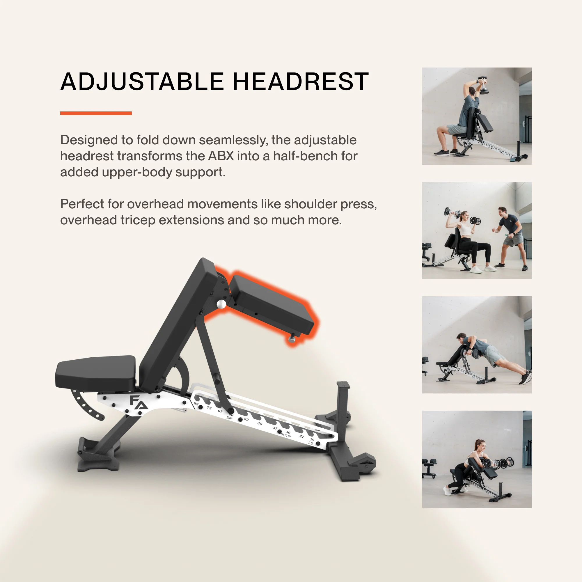 ABX Weight Bench - Image 5
